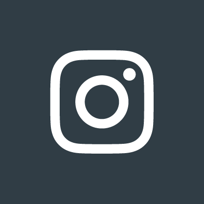 Fast-Dolphin-social-media-INstagram