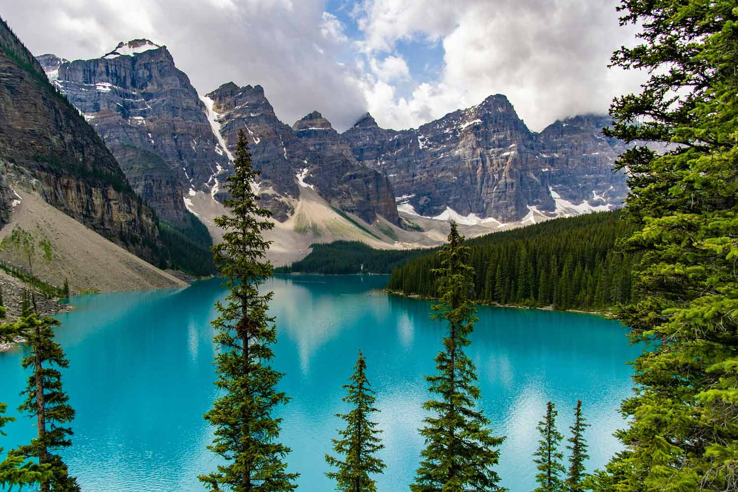 FAST-DOLPHIN-SAP-Oracle-Projects-How-Temporary-Staffing-Speeds-Up-Delivery-2-2